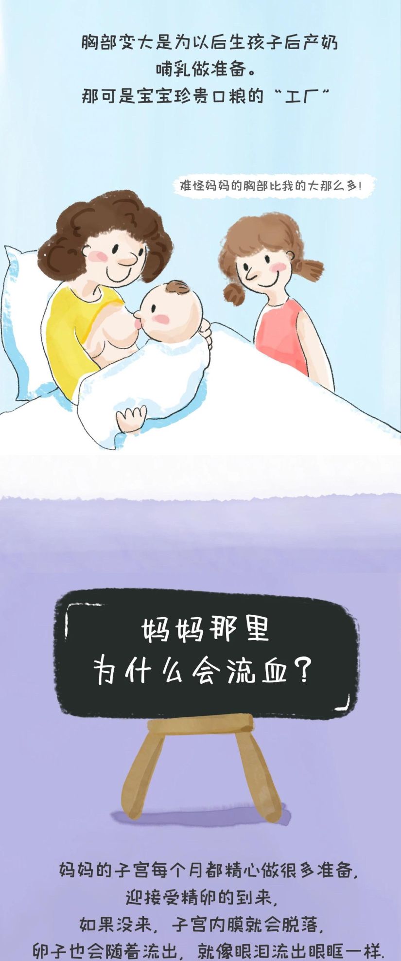 妈妈屁股为什么会流血？这样教小朋友既科学不尴尬