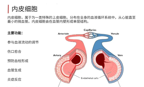 45岁高龄产妇生产险些丧命，高龄产子，远没有想象的那么简单