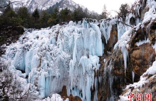 四川平武：玉树琼花漫山开 雪山冰瀑入画来