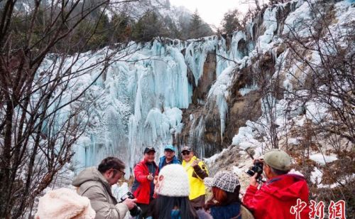 四川平武：玉树琼花漫山开 雪山冰瀑入画来