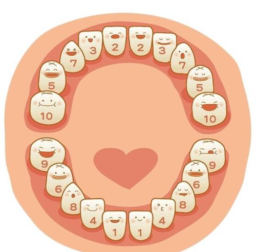 宝宝出牙的征兆、时间和顺序是怎样的？如何给宝宝做好出牙护理？
