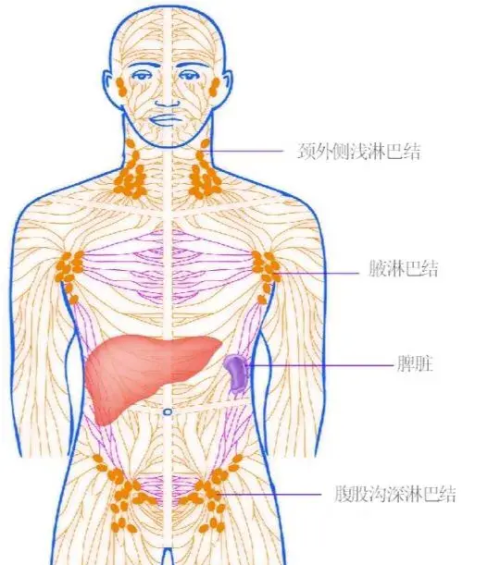 小孩颈部淋巴结肿大：是什么原因？如何治疗？医生带你了解一下