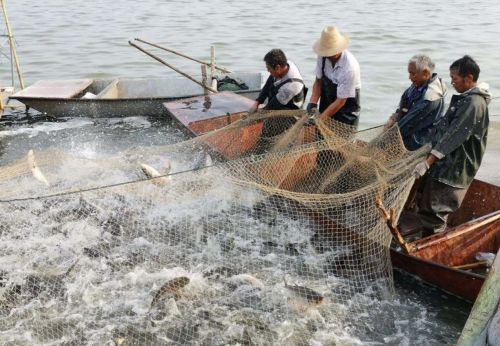 大海为何会涨潮退潮？海水在退潮以后去哪了？看完涨知识了