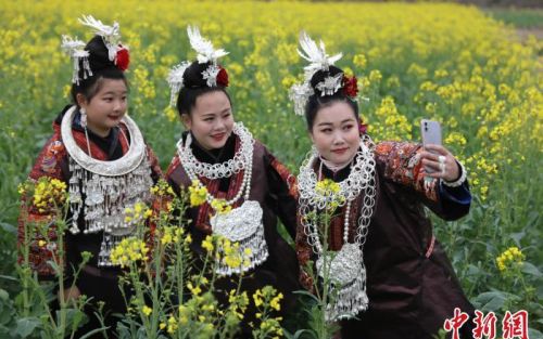 贵州施秉：花开春色美 游客踏青来