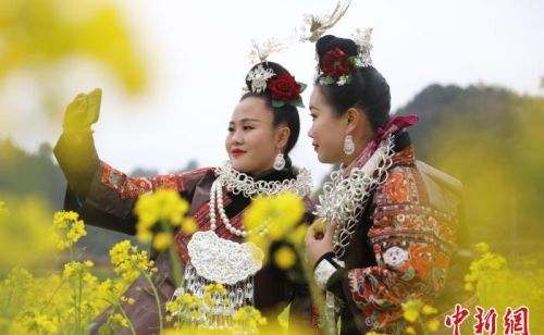 贵州施秉：花开春色美 游客踏青来