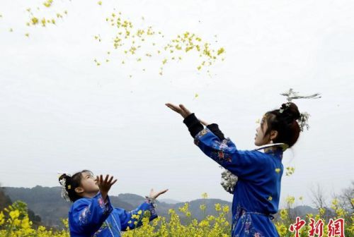 贵州施秉：花开春色美 游客踏青来