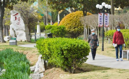 小桥流水、飞瀑千尺……西海岸这座小众公园超有“江南范”