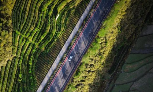 江西芦溪：美丽公路春色浓