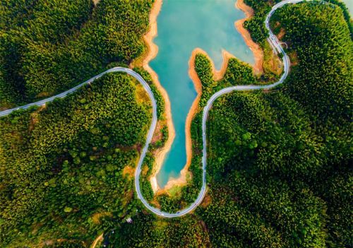 江西芦溪：美丽公路春色浓