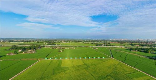 四川永丰村：四季风景如画，永远五谷丰登