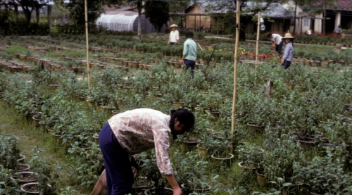 罕见老照片：1978年的南宁，有一股小县城的味道