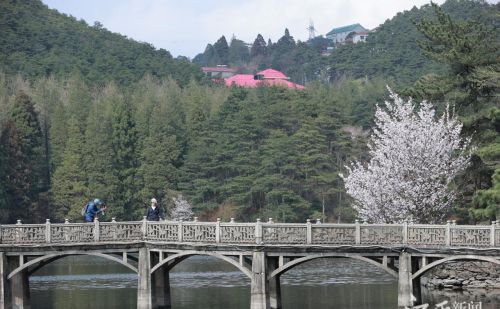 江西风景独好：庐山天下悠