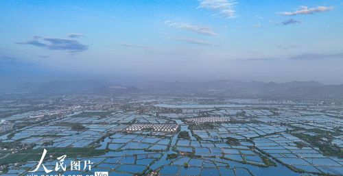 浙江湖州：千年桑基鱼塘 生态美景图