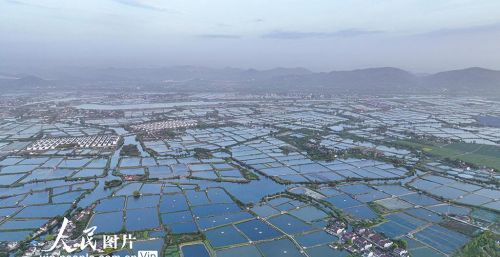 浙江湖州：千年桑基鱼塘 生态美景图