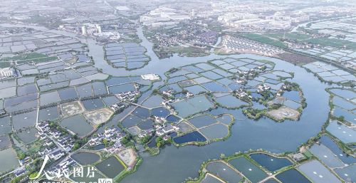 浙江湖州：千年桑基鱼塘 生态美景图