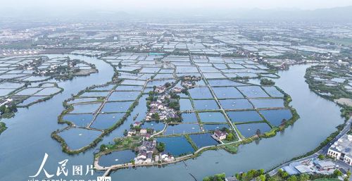 浙江湖州：千年桑基鱼塘 生态美景图