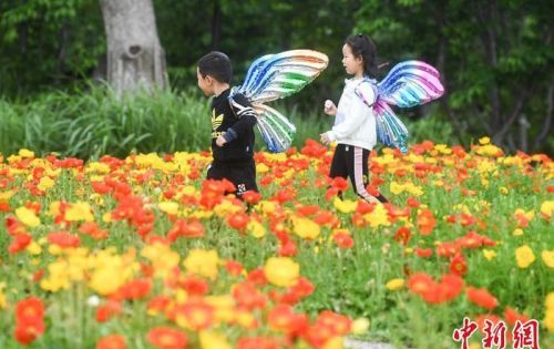 航拍太湖之滨无锡拈花湾 百花齐放游人如织