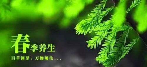 春天不“养阳”，一年都白忙！常吃4种食物，疏肝养阳少生病