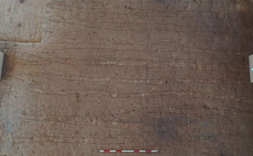 陕西栎阳城遗址考古新进展：发现了2000多年前的厕所、农田
