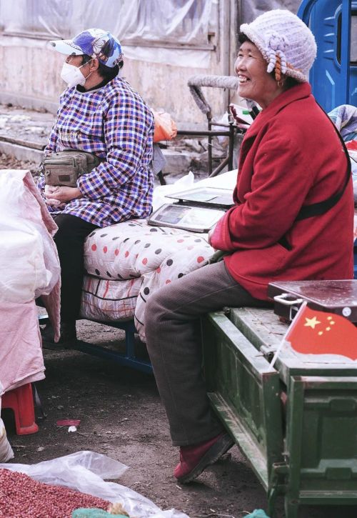 太长见识了！苏州女子去吉林旅行，偶遇当地赶大集，10天仅一次