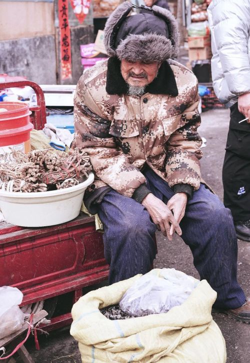 太长见识了！苏州女子去吉林旅行，偶遇当地赶大集，10天仅一次