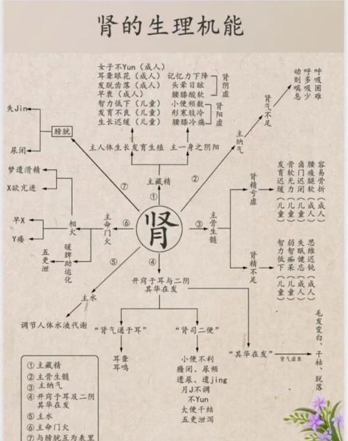 中医五脏你了解了吗