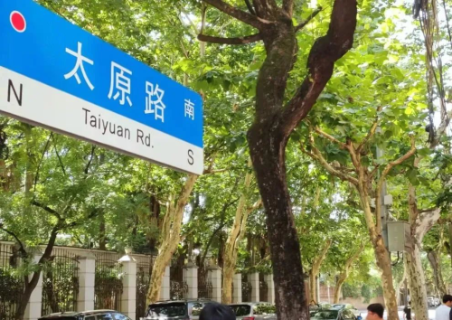 建筑可阅读：这条不足一公里的小路，爬山虎点染春夏