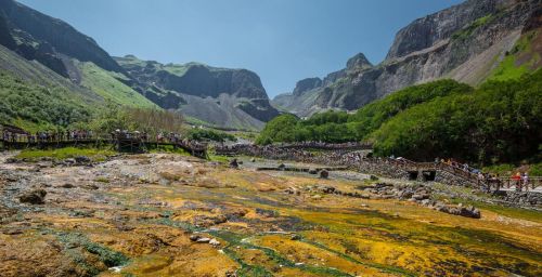 七猎户在长白山遭遇猛虎突袭，手持猎枪对抗，最终付出惨痛代价