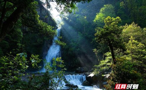 “五一”出游计划①｜长沙留给你，我们去游山玩水！