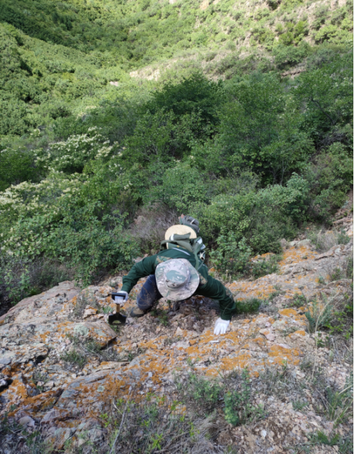 无限风光在险峰