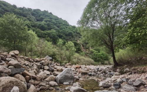 无限风光在险峰