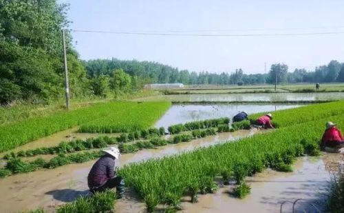 4月26~5月3号，中到大雨范围确定，连下8天，60年冷春？农谚咋说