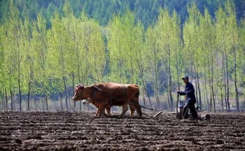 明天(4月26~5月1号）中到大雨确定，连下6天，60年冷春？农谚咋说