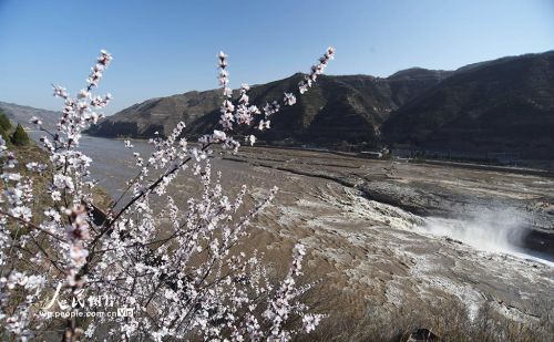 山西吉县：黄河壶口瀑布迎来“桃花汛”