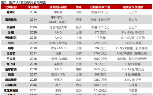 国产 AI 算力芯片全景图