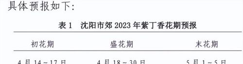 风有约，花不误：沈阳丁香进入最佳观赏期