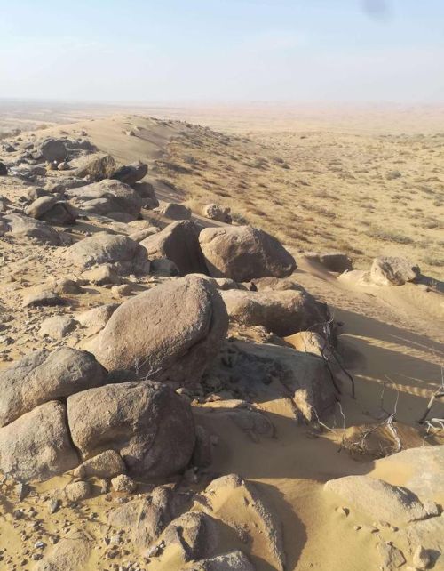 为什么在沙漠里看到“石头”要捡起来？驴友表示：不捡是傻子！
