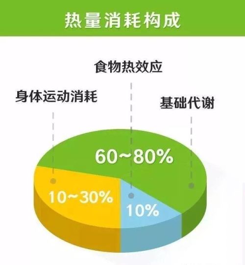 体脂率30％,怎么快速减脂？