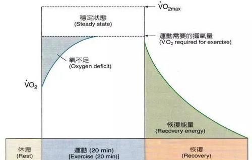 体脂率30％,怎么快速减脂？