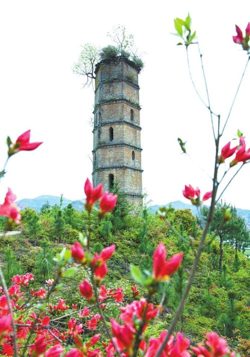 客家摇篮拍客家·民居｜腾蛟故里东龙村