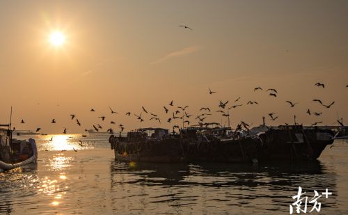 揭阳惠来：澳角海域最美的春日夕阳