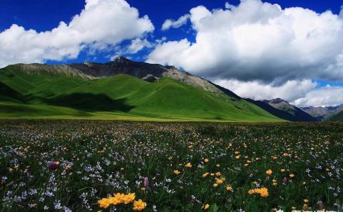 第一次到新疆，南疆好玩还是北疆好玩？