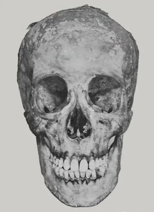 德川遗骨调查：幕府女性的遗骨发掘记录了将军们什么样的审美观？