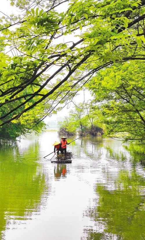 【大美中国】水清岸绿 河畅景美