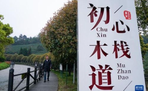 四季中国——树山村的“驻村规划师”