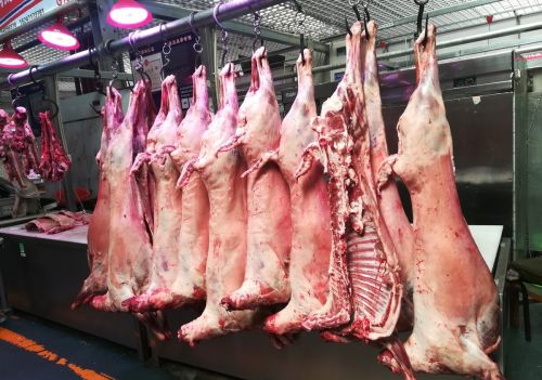 现在牛羊肉价格很贵，为什么农村养殖户还是喊赔钱？