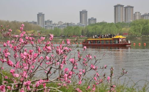 跑图形火遍朋友圈！大运河畔跑“鸟头”，一路观鸟赏美景