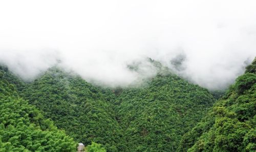 抚州唯一的5A景区，宛如仙境的影视取景地，知道的人却不多