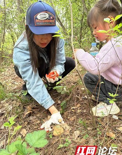 空山春雨后，当然是马上带着一家人去捡菌子