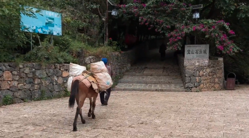 云南大山中发现一座石头城，108户人家聚居在一块石头上，太神奇